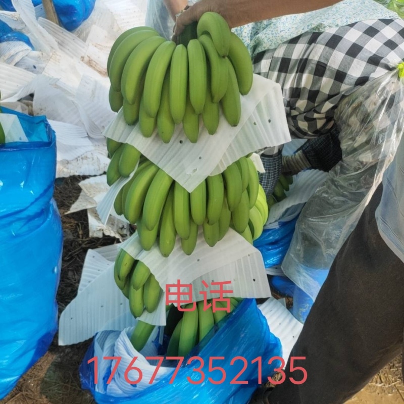 香蕉为你代购