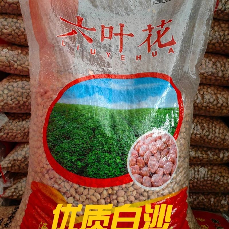 干花生米水分百分之九无霉变无坏颗粒干果质量保证全国发货