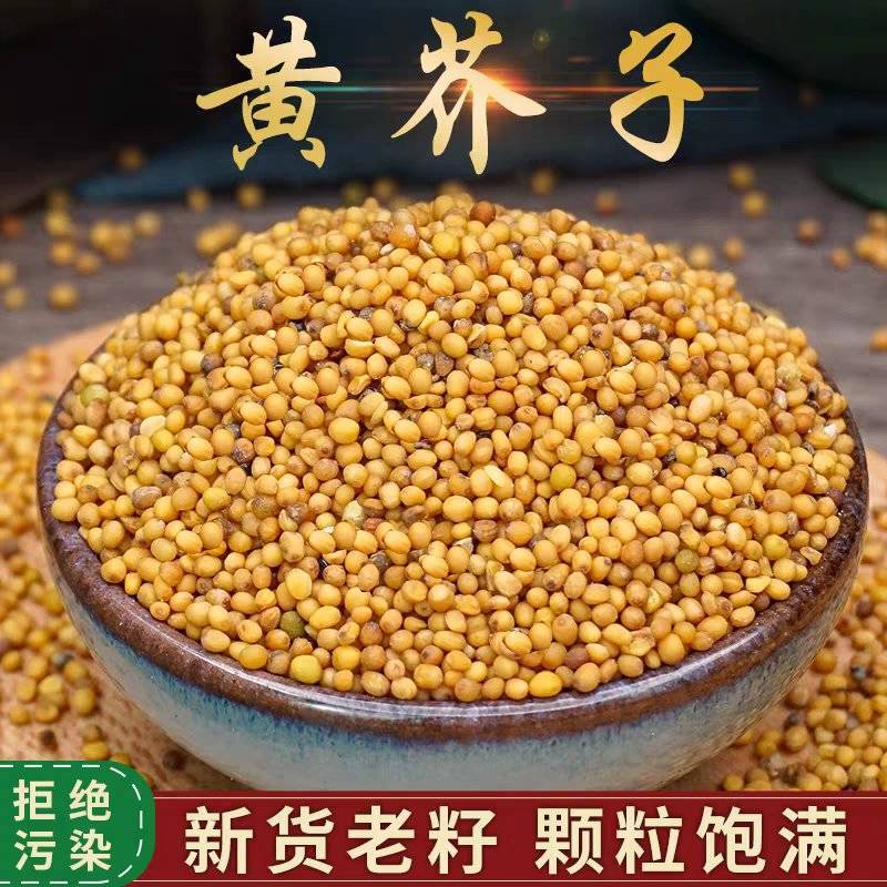 黄芥子中药材批发黄芥子干净无杂质一手货源