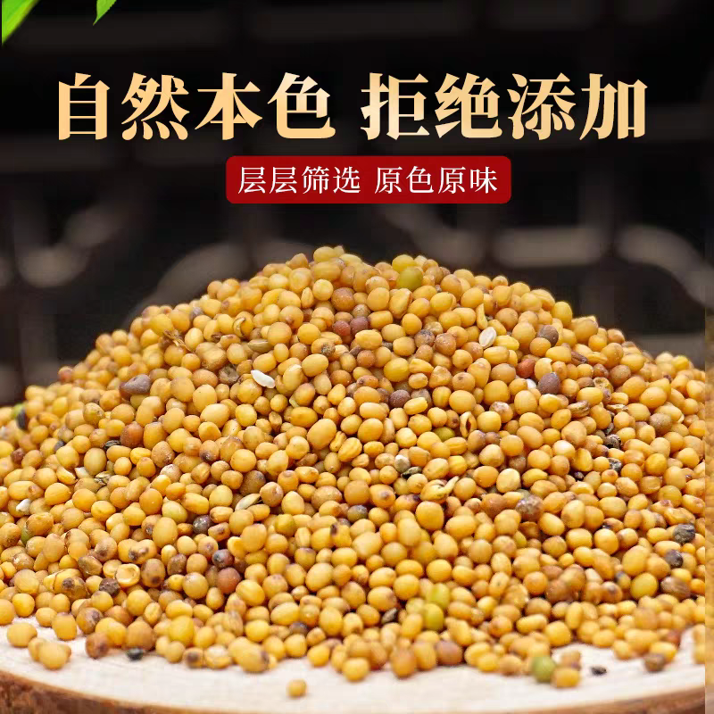 黄芥子中药材批发黄芥子干净无杂质一手货源