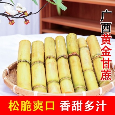 广西黄皮甘蔗脆甜新鲜黄金甘蔗当季多汁脆甜
