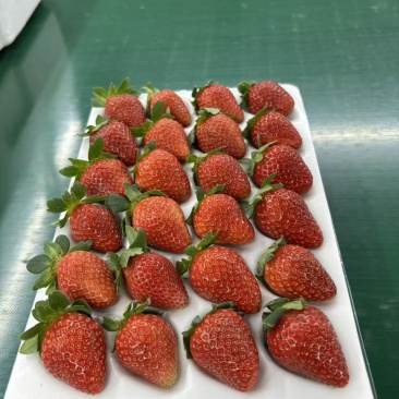 冬草莓