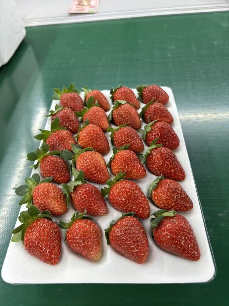 冬草莓