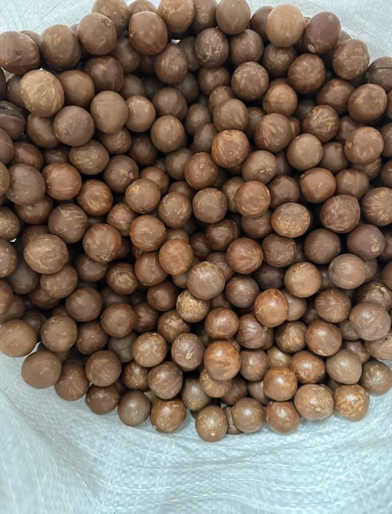 夏威夷果电商一件代发批发