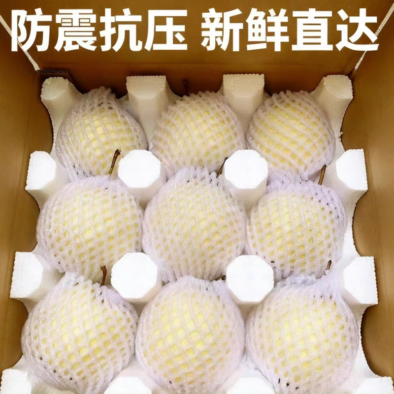 《陕西酥梨》蒲城酥梨/产地货源/保质保量/实力代办代发