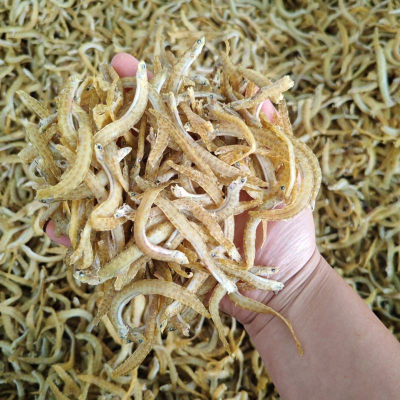 凤尾鱼面条鱼一首货源大量批发油炸麻辣鱼原料