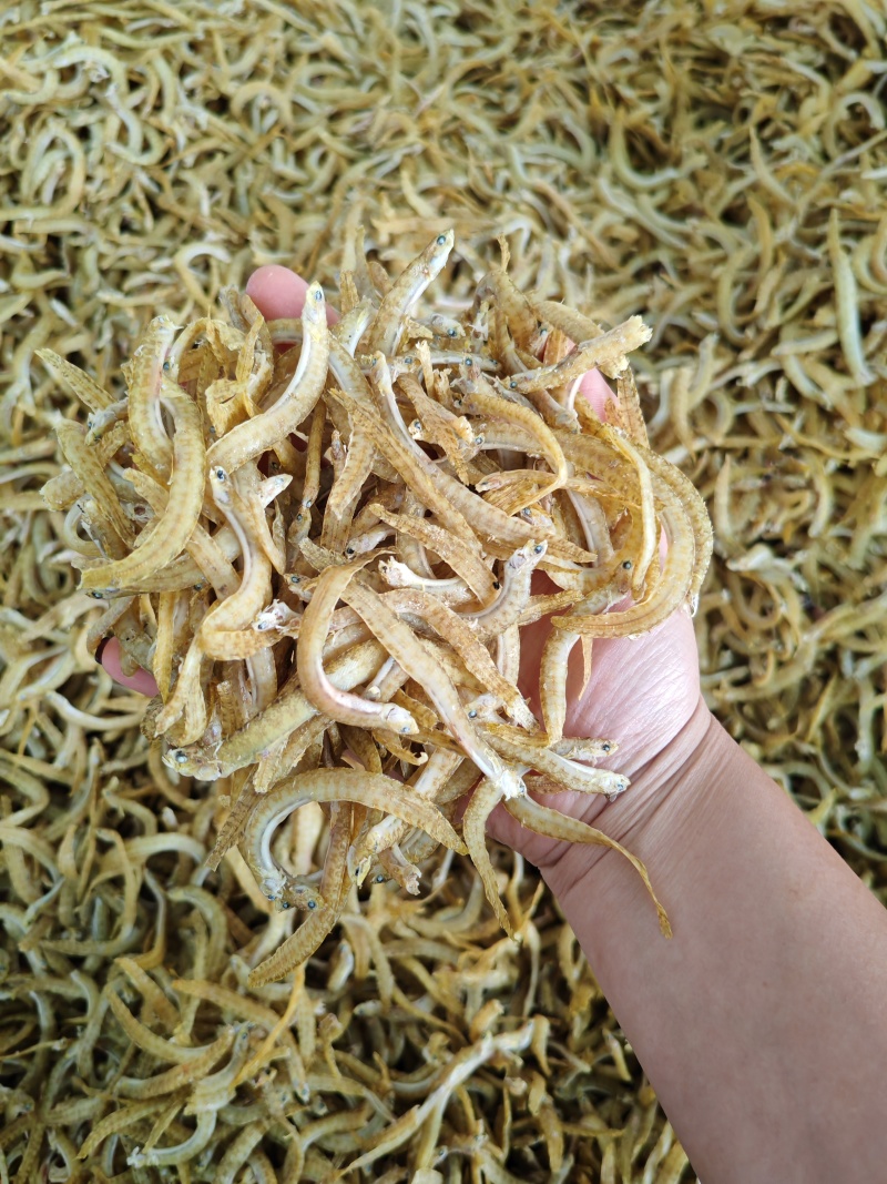 凤尾鱼面条鱼一首货源大量批发油炸麻辣鱼原料