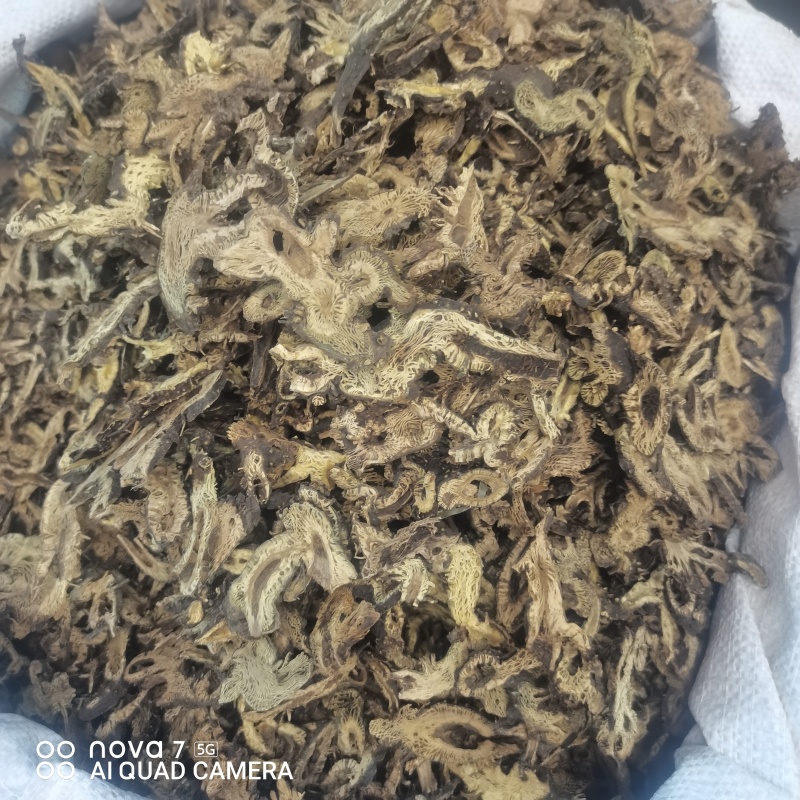 升麻道地中药材统货滚筒货规格齐全大货供应