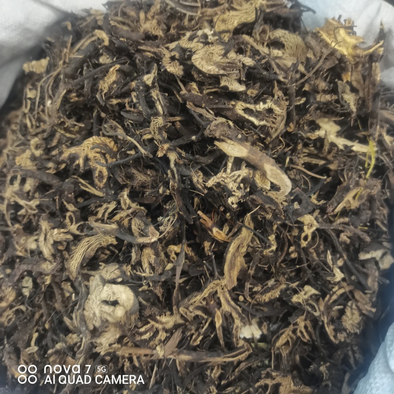 升麻道地中药材统货滚筒货规格齐全大货供应