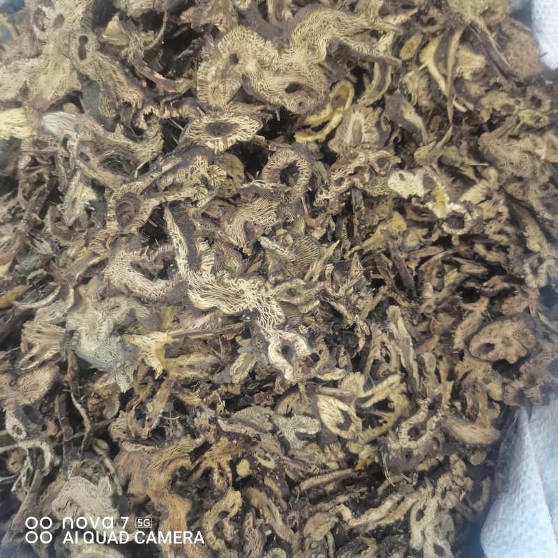 升麻道地中药材统货滚筒货规格齐全大货供应
