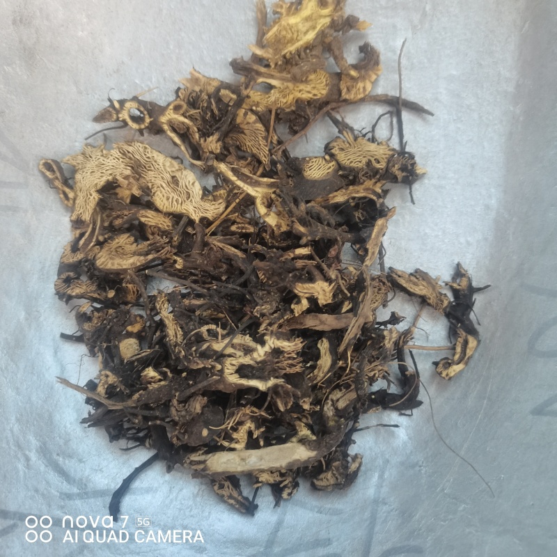 升麻道地中药材统货滚筒货规格齐全大货供应