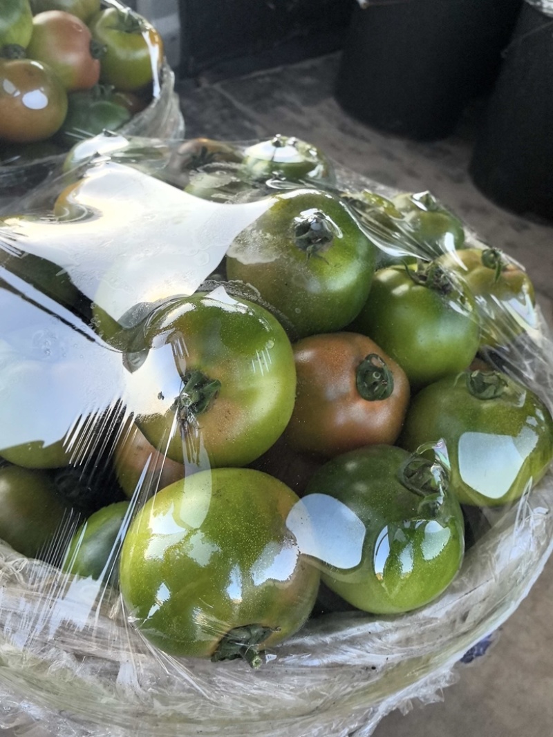 草莓柿子西红柿大量上市，新鲜采摘货源充足，对接各市场