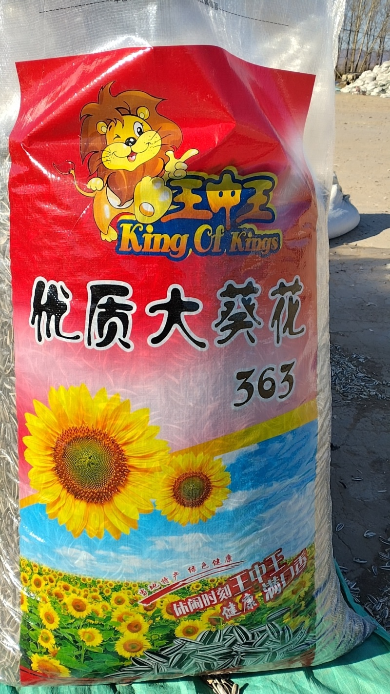 赤峰大瓜子，粒粒饱满
