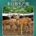 双阳梅花鹿鹿茸血，自家鹿场直发，支持一件代发