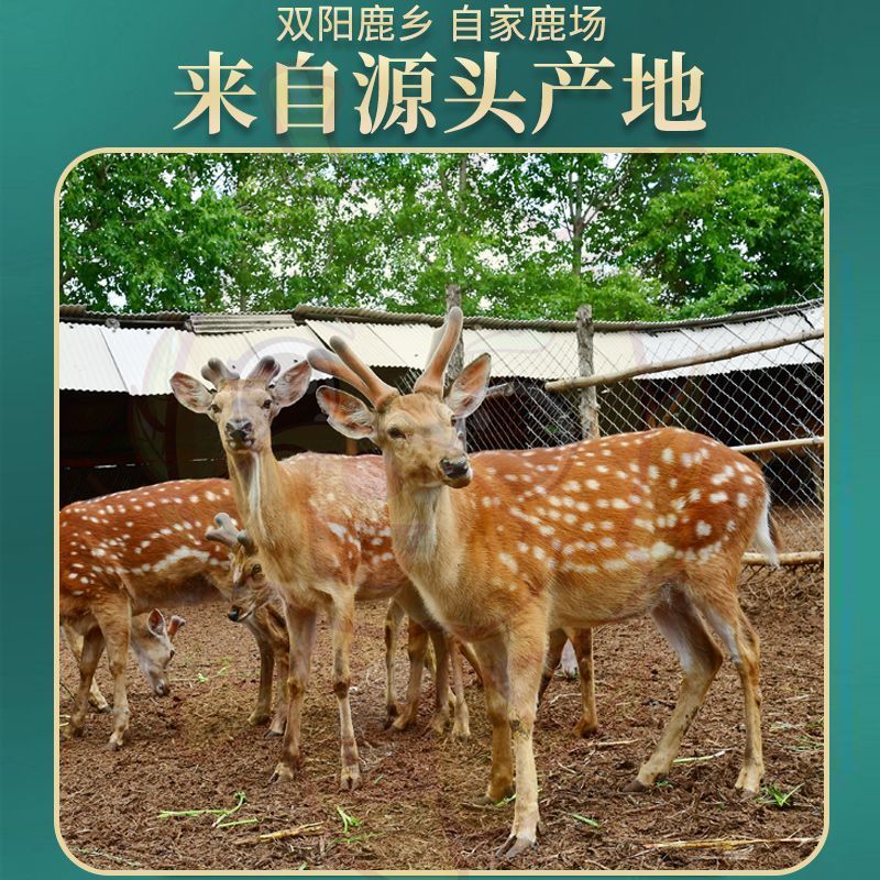 双阳梅花鹿鹿茸血，自家鹿场直发，支持一件代发