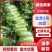 北京三号白菜，净菜标准，超市市场加工厂