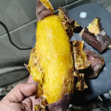 红瑶红薯软糯香甜大量供应基地直供货源充足保质保量全国发货