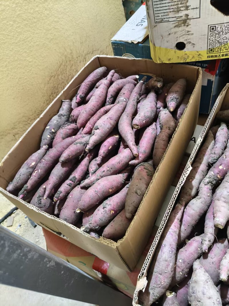 红瑶红薯软糯香甜大量供应基地直供货源充足保质保量全国发货
