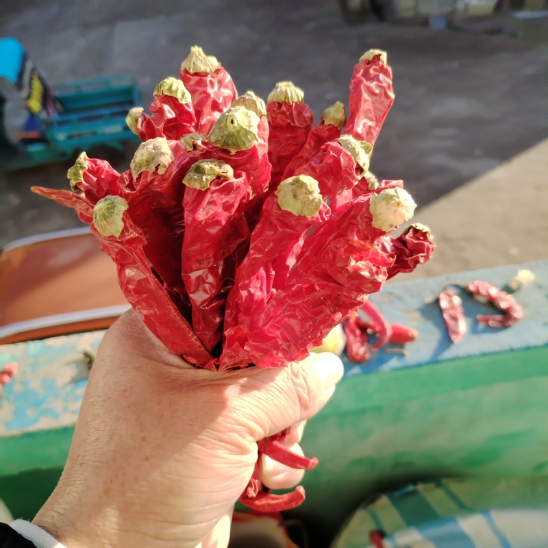 精品手选二荆条干货常年供货自制辣椒面质量保证