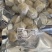 黄花鱼丸。200克。预包装。没有科技添加