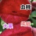 优质血桃苗，贵妃血桃苗，大果，高糖度，浓香血桃