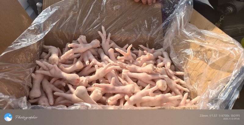 山东潍坊工厂鸡爪电商市场系列一级鸡爪厂家直销全渠道销售