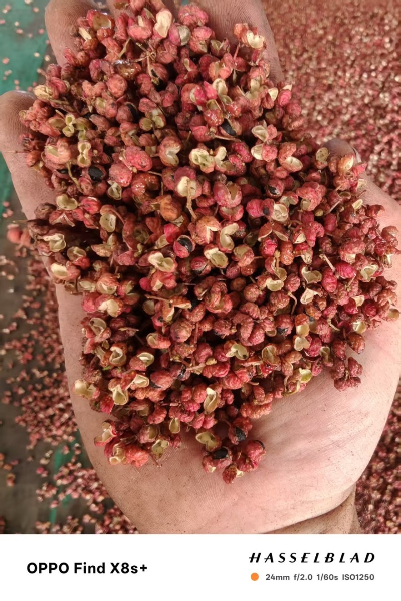 陕西大红袍花椒，配货神气，