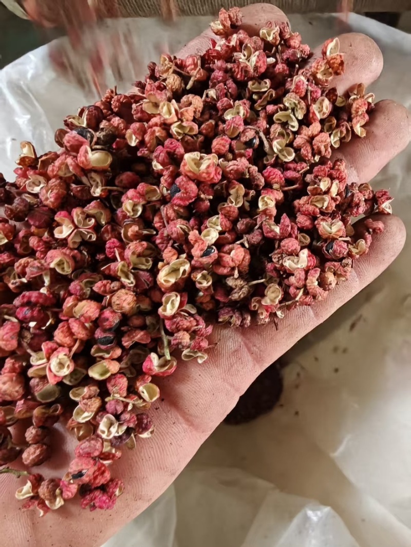 陕西大红袍花椒，配货神气，