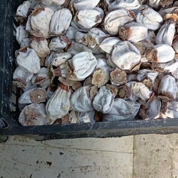 现货富平吊饼山西吊柿饼软糯香甜特级白霜柿