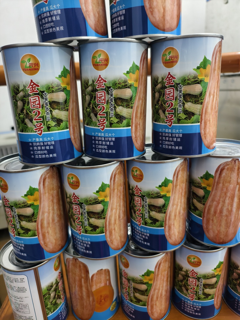 《推荐》高金园2大果蜜本南瓜种子，丰产耐储运好吃厂家直销