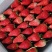 甜宝草莓🍓