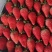 甜宝草莓🍓