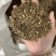 龙胆草龙胆草苦胆草保庆药业实物拍摄龙胆草