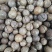 夏威夷果大批量现货价格合适需要的联系