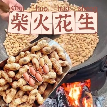 柴火炒花生，四粒红各种口味，货发全国，一手货源电商快消品