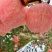 沂蒙山红富士