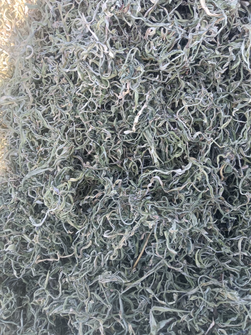 农家院纯油豆角丝儿