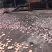 福建莆田特产红薯干地瓜干自然风干自家种植