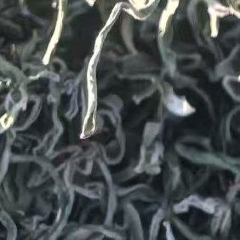 农家院纯油豆角丝儿