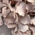 福建红薯干大量走量海边地瓜干莆田人自己种