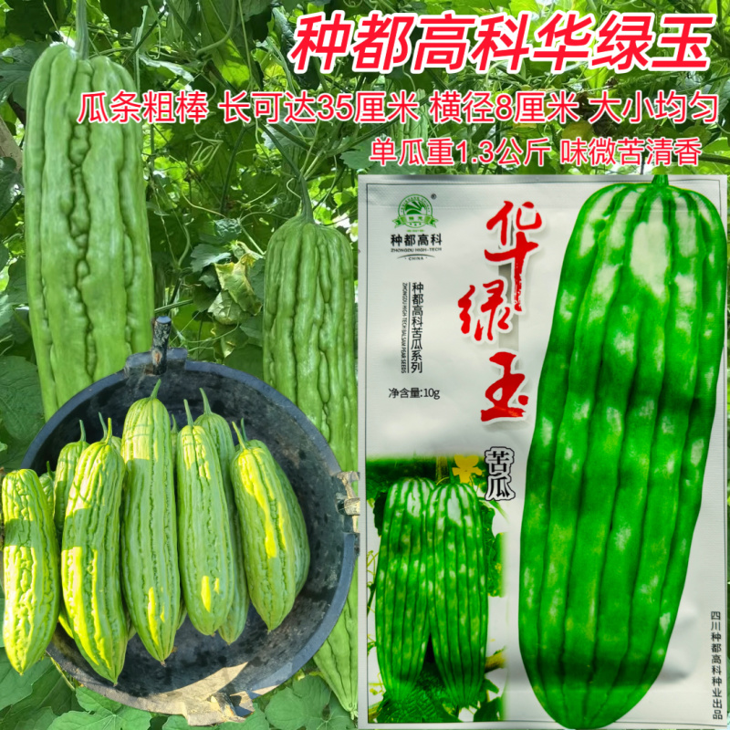华绿玉苦瓜种子种都高科耐热种籽长棒粗棒苦瓜种籽
