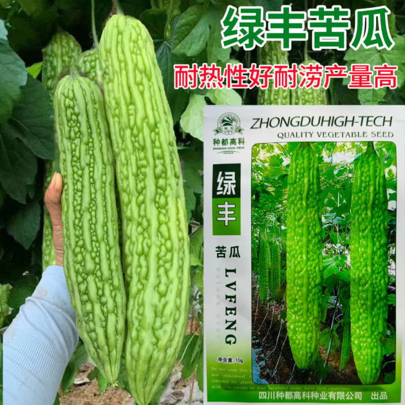 绿丰苦瓜种子农家春夏季耐热早熟抗病苦瓜种籽丰产抗病微苦