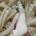 【工厂直销】牛黄喉