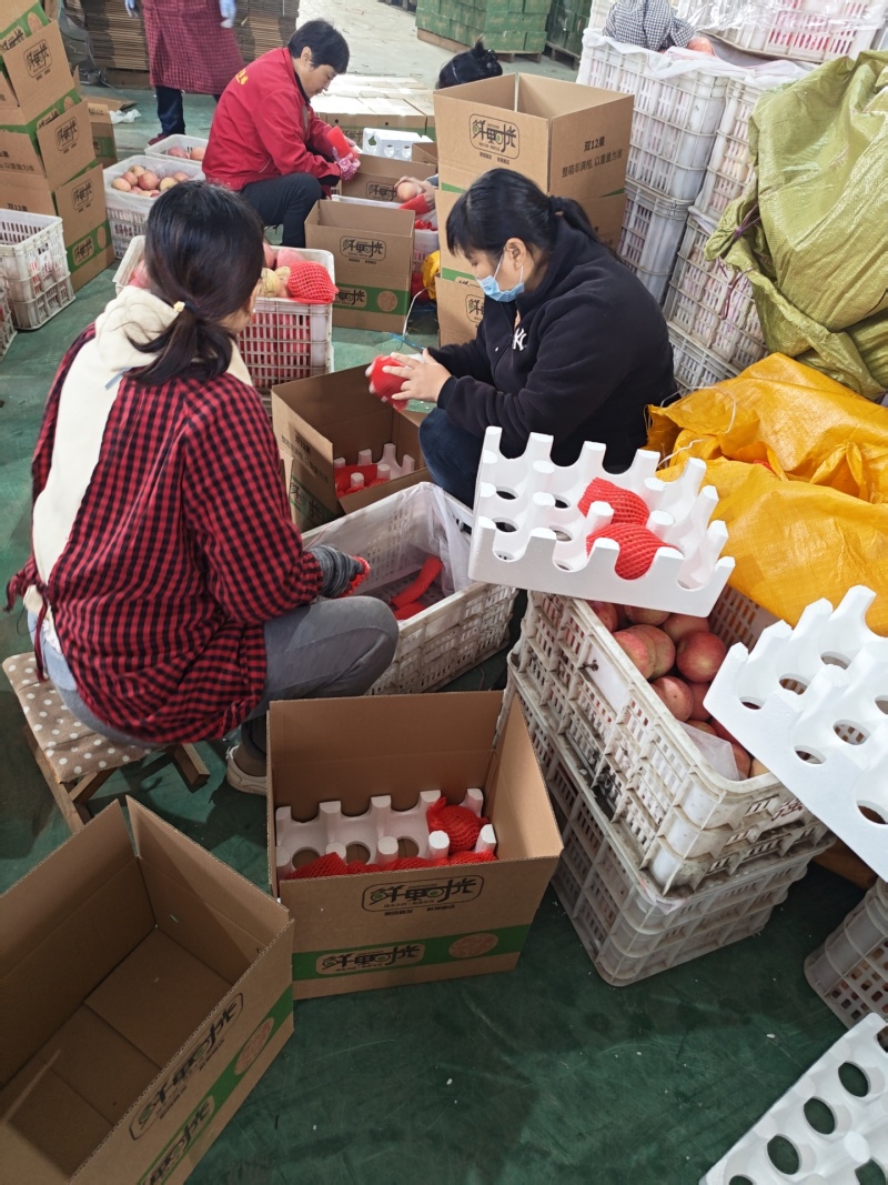 2025年新果山东红富士苹果源头供应链一件代发包邮量大