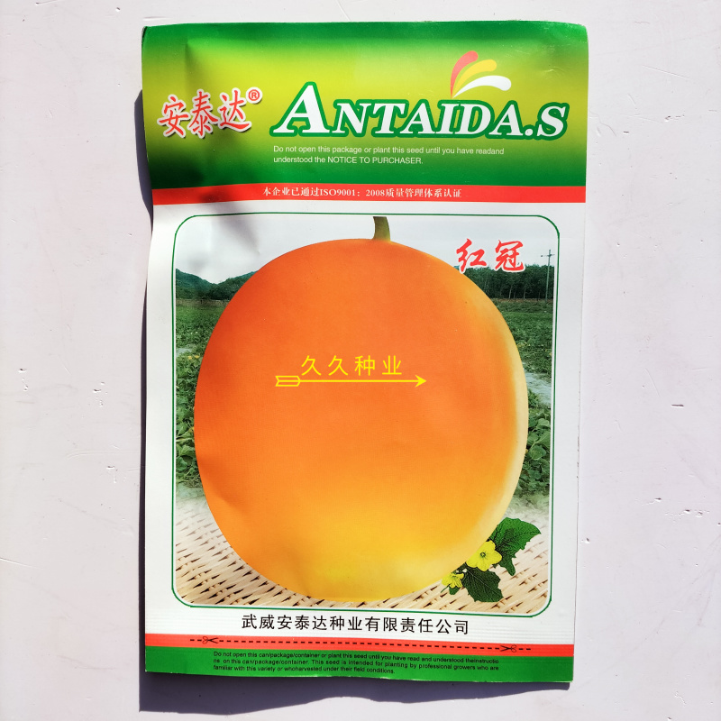 红冠黄金黄皮甜瓜白芯花园高产户外抗病早熟甜瓜种子
