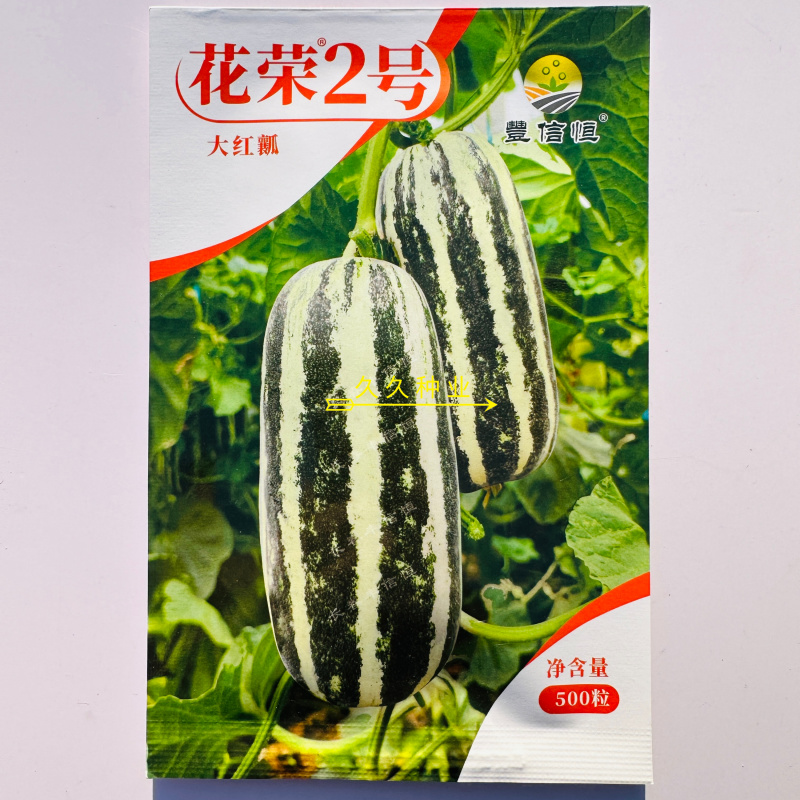 花荣2号甜瓜种子早熟加长薄皮绿肉红瓤酥瓜种籽酥脆香甜