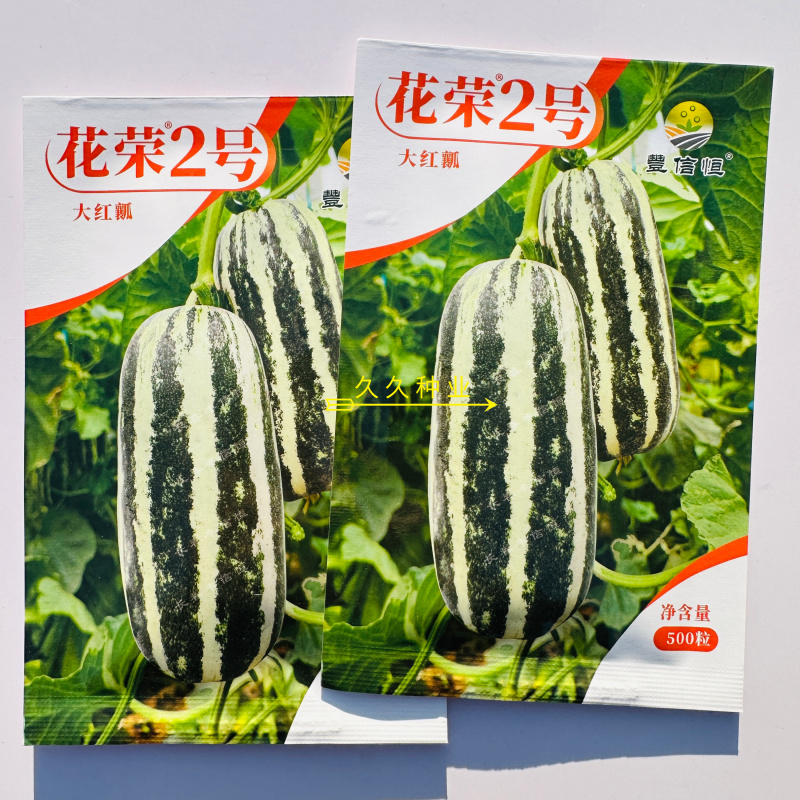 花荣2号甜瓜种子早熟加长薄皮绿肉红瓤酥瓜种籽酥脆香甜