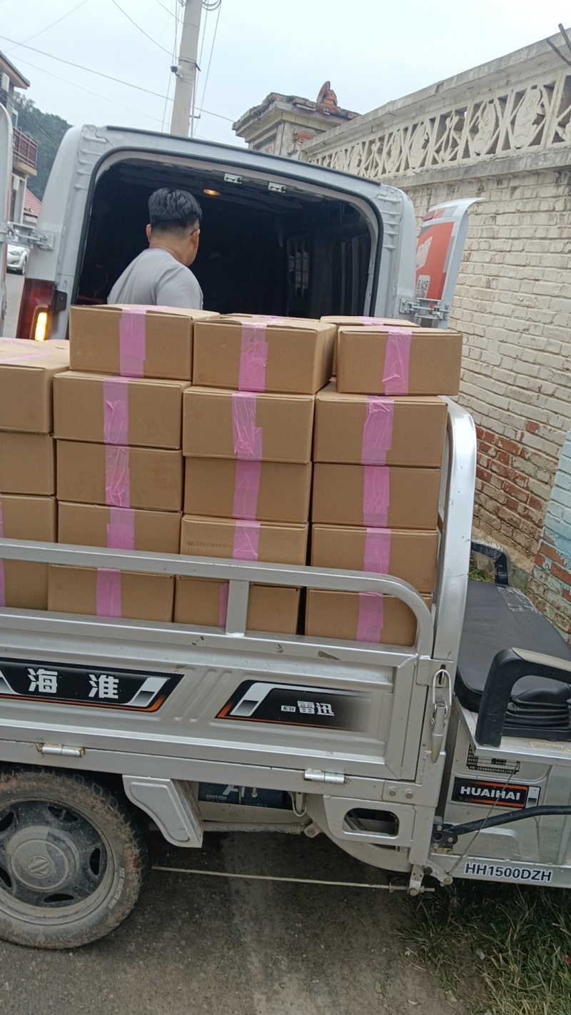 一级烟薯干