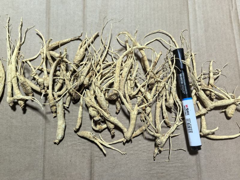 人参长白山红参生晒参原皮参白参投料可代打粉