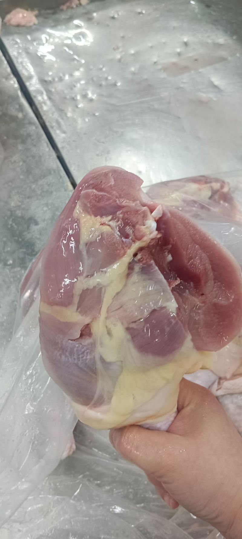 种鸡排腿工厂直接发货，货源充足